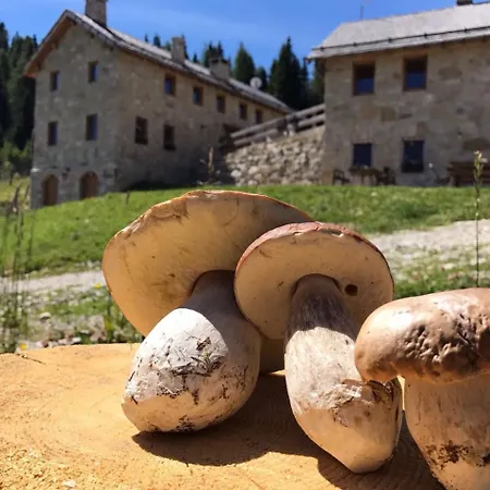 Pensjonat Baiti Parvia Lastebasse